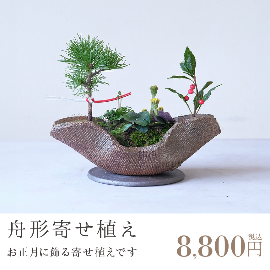 舟形寄せ植え