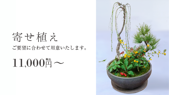 寄せ植え