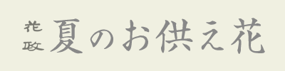 花政 夏のお供え花