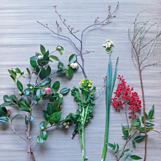 1月の切り花 21-WI-1