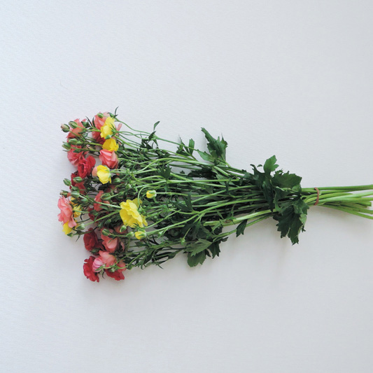 ラナンキュラスの花束 22-SP-5