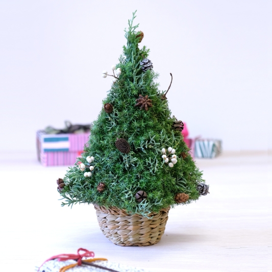 【期間限定・数量限定】クリスマスツリー 25-X-1