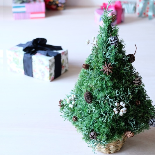 【期間限定・数量限定】クリスマスツリー 25-X-1