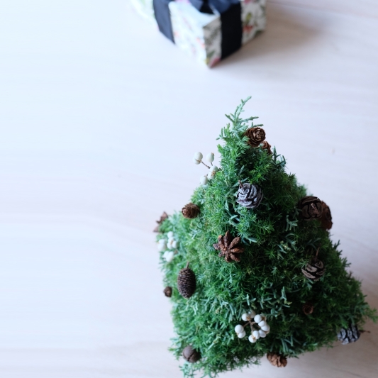 【期間限定・数量限定】クリスマスツリー 25-X-1